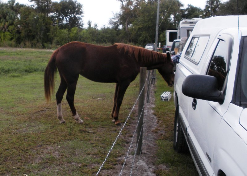 Okeechobee Hamfest 2009 019.jpg